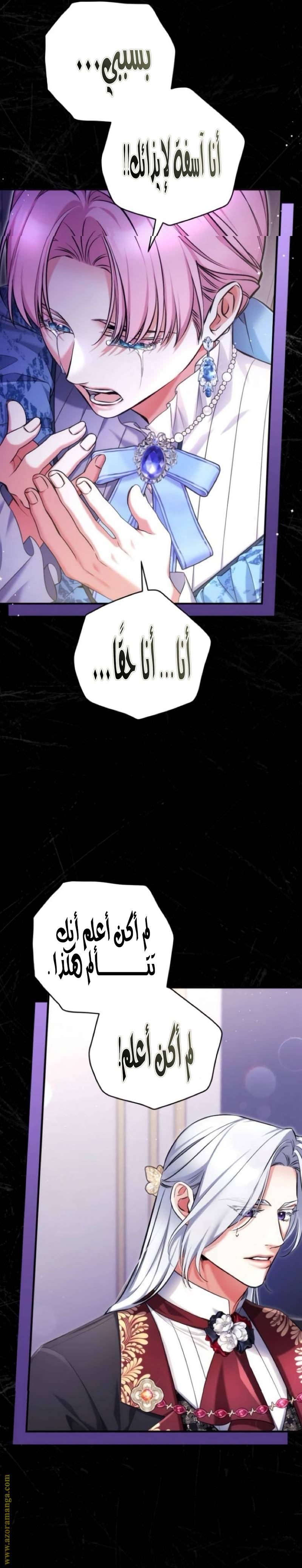الصفحة 19