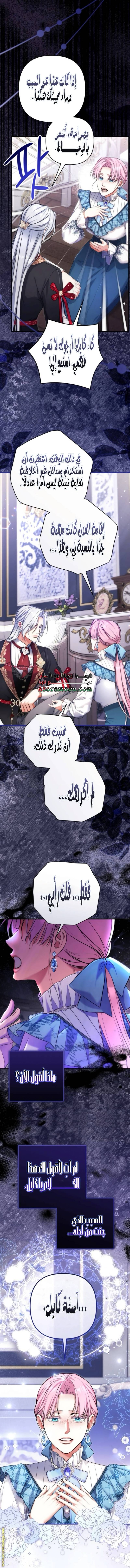 الصفحة 21
