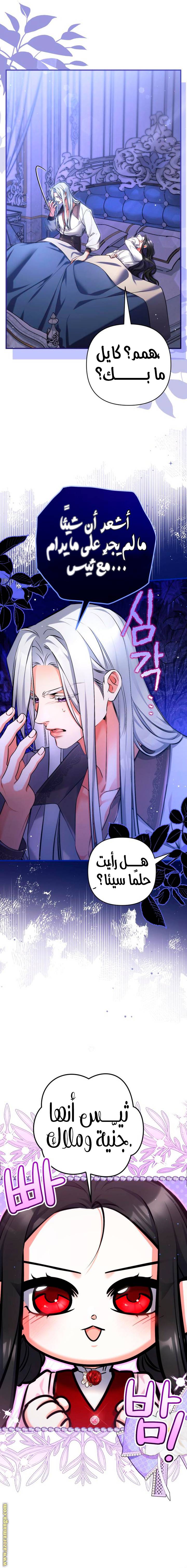 الصفحة 14