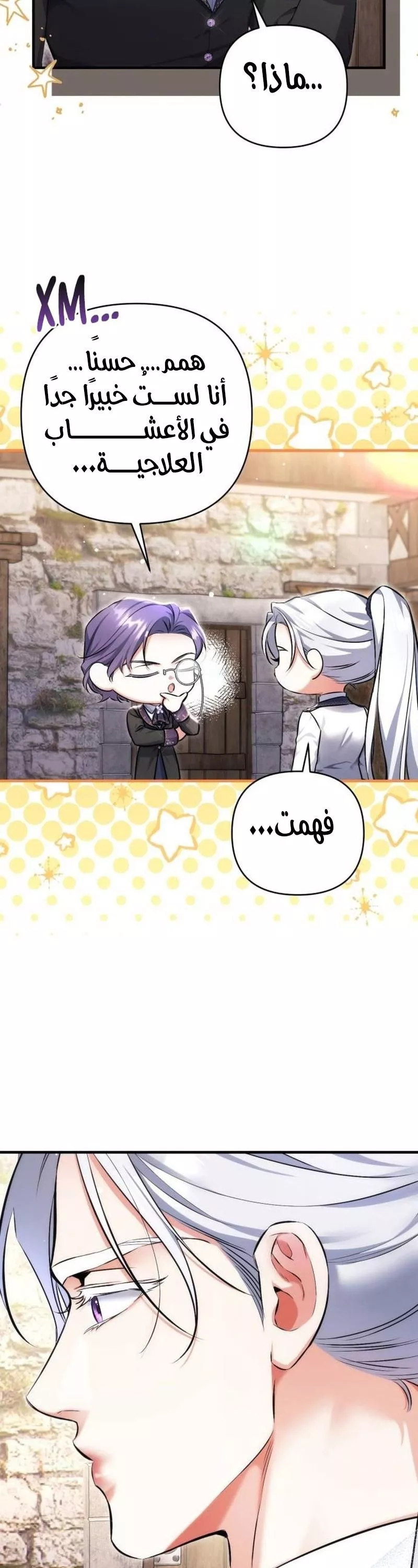 الصفحة 28