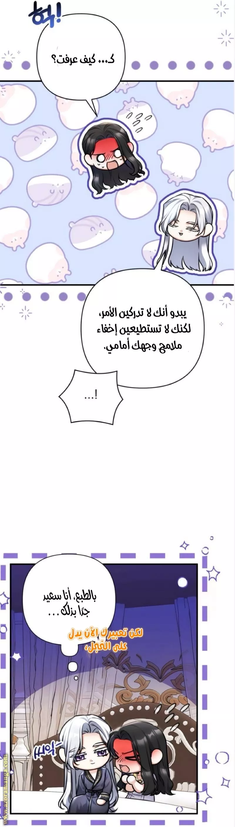 الصفحة 21