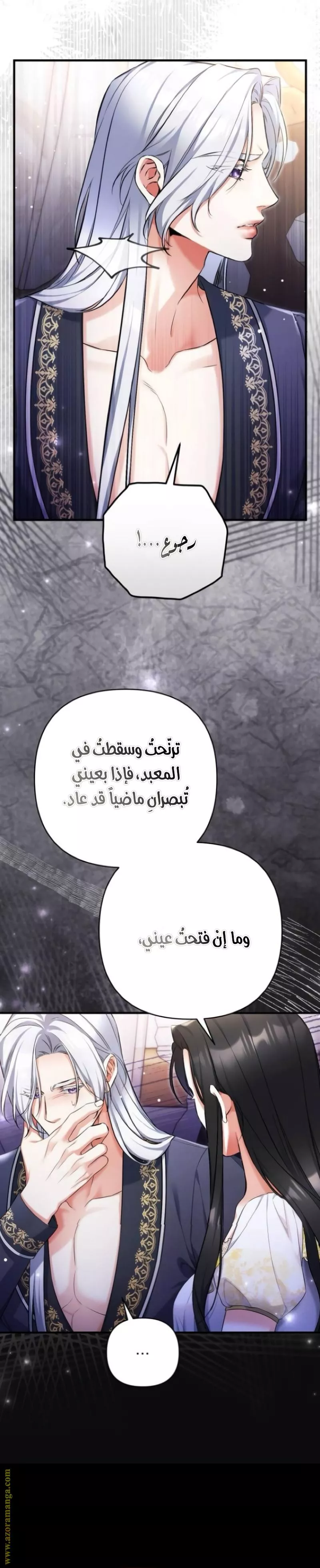 الصفحة 29