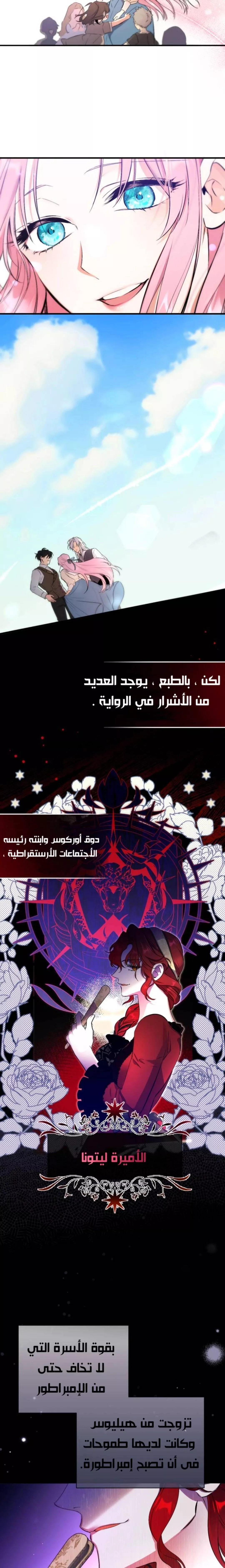 الصفحة 14