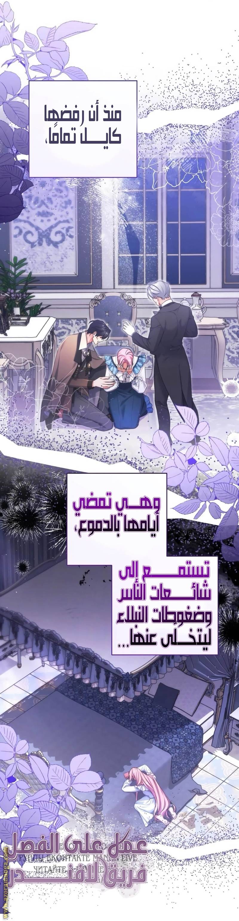 الصفحة 29