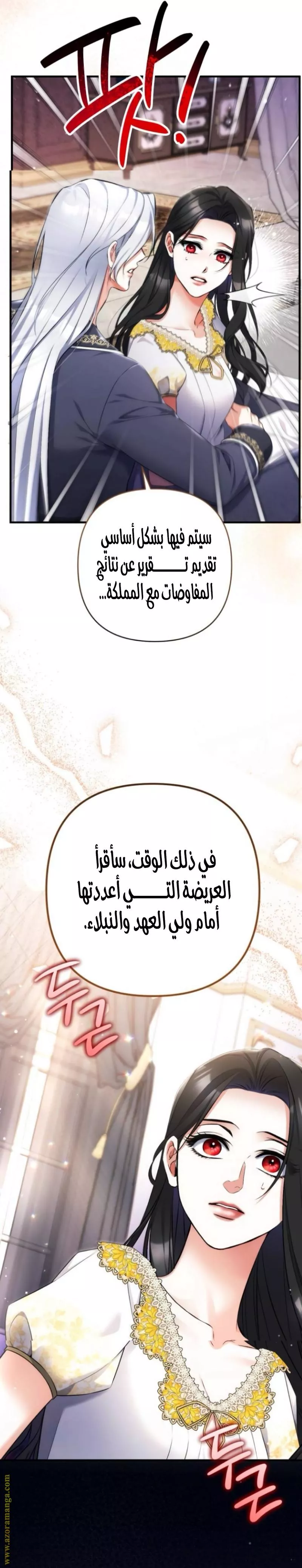 الصفحة 13