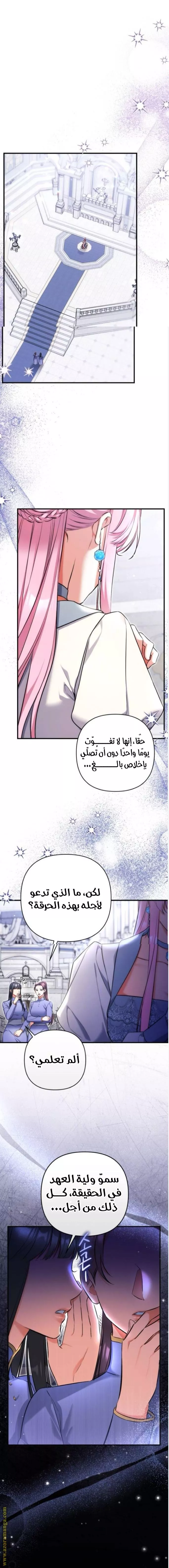الصفحة 16
