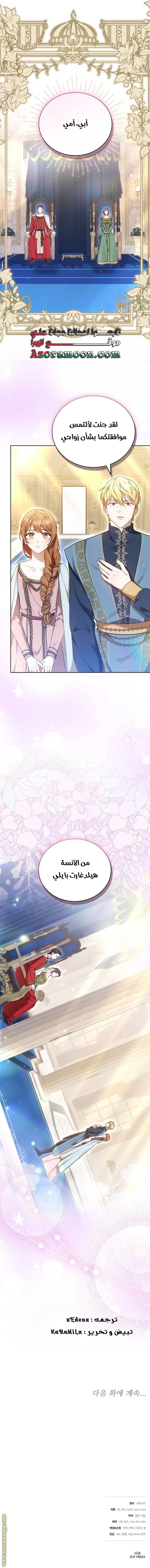 الصفحة 17