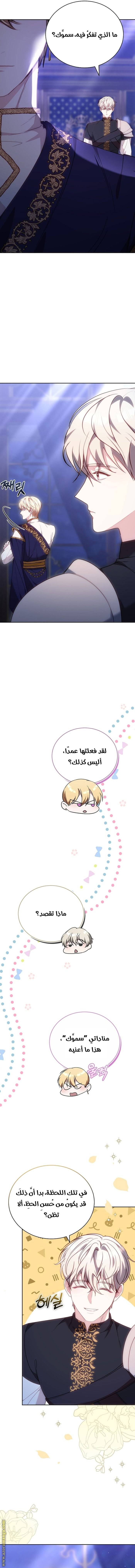 الصفحة 17