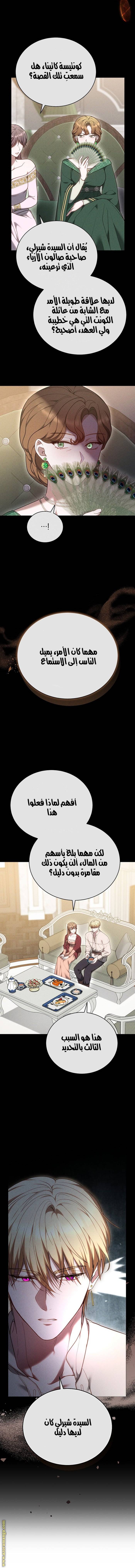 الصفحة 14