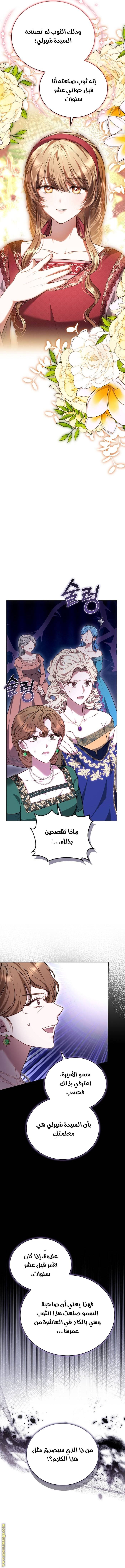 الصفحة 17