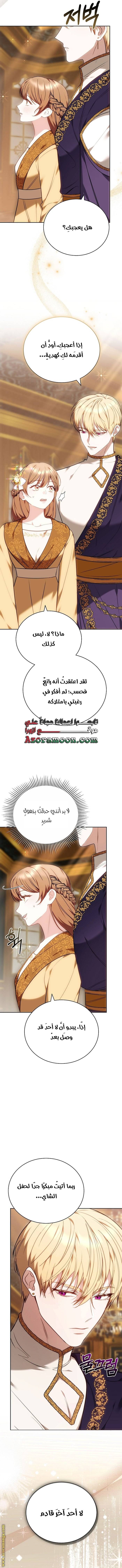 الصفحة 17