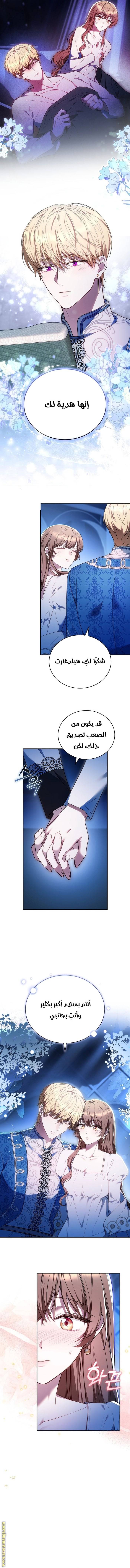 الصفحة 13