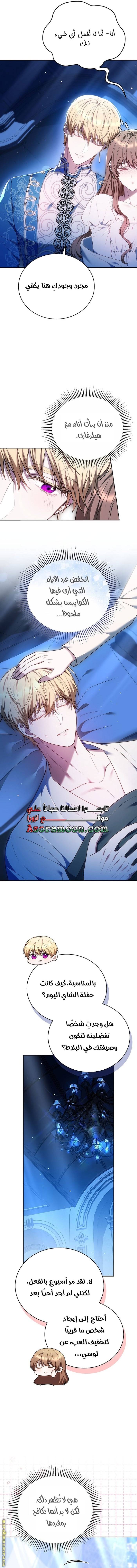 الصفحة 14
