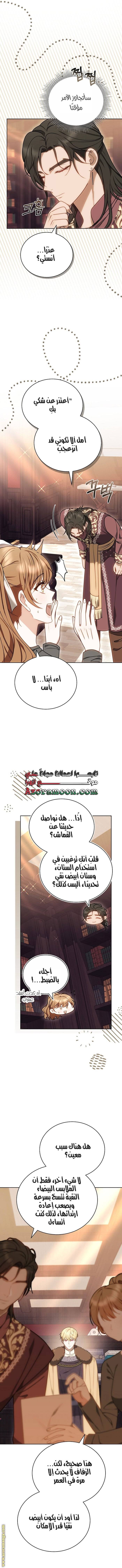الصفحة 17