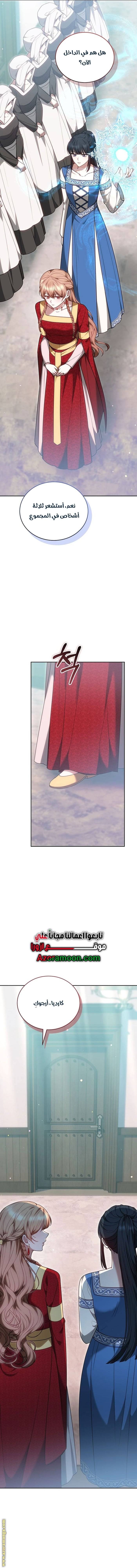الصفحة 17