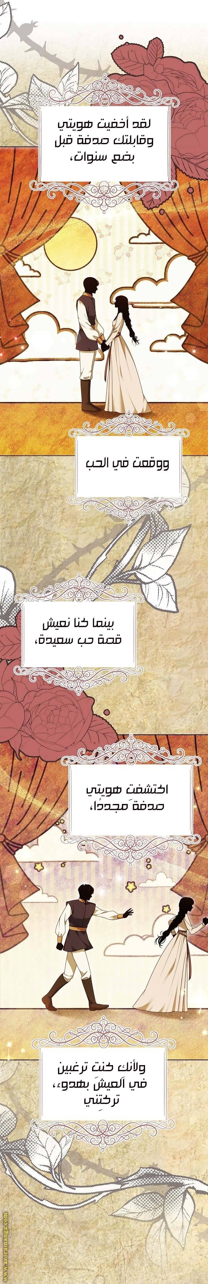 الصفحة 25