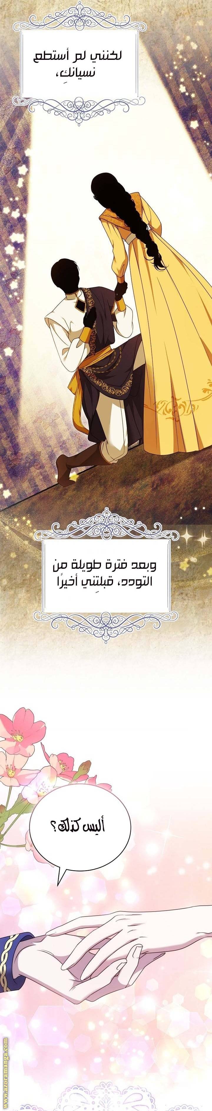 الصفحة 26