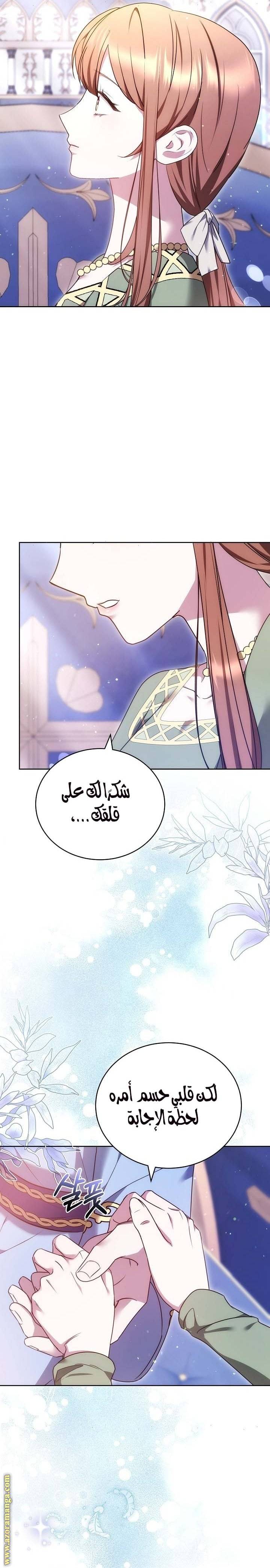 الصفحة 29