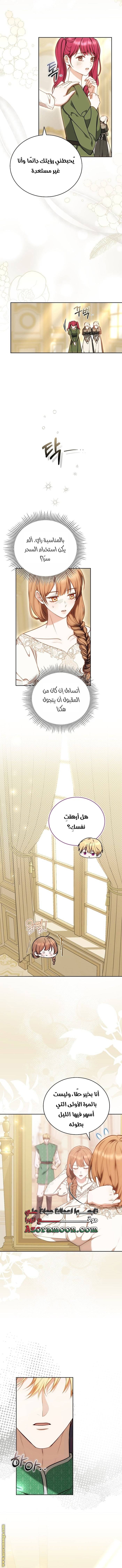 الصفحة 14