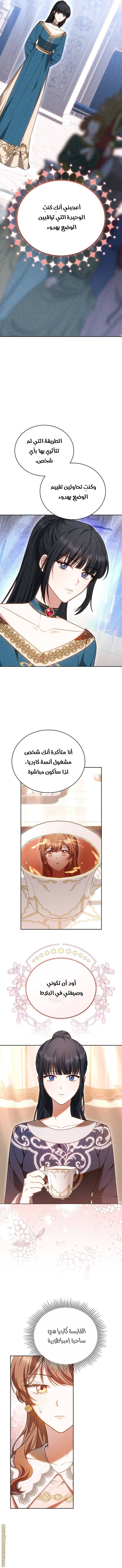 الصفحة 13