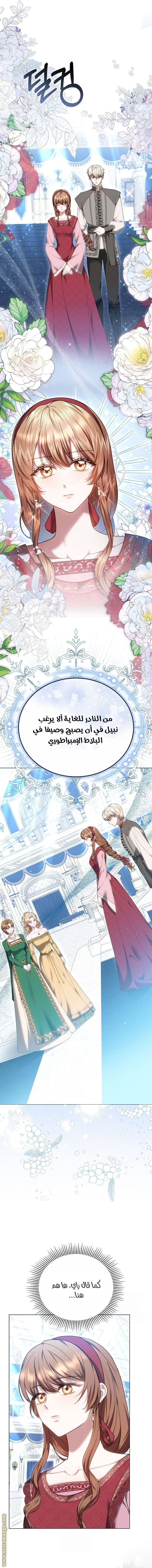 الصفحة 13