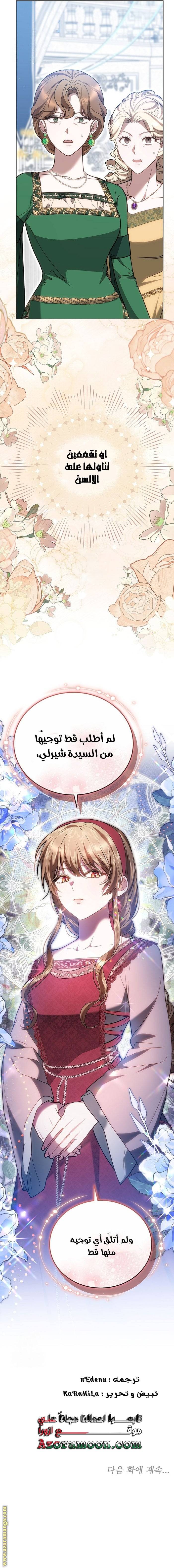 الصفحة 17