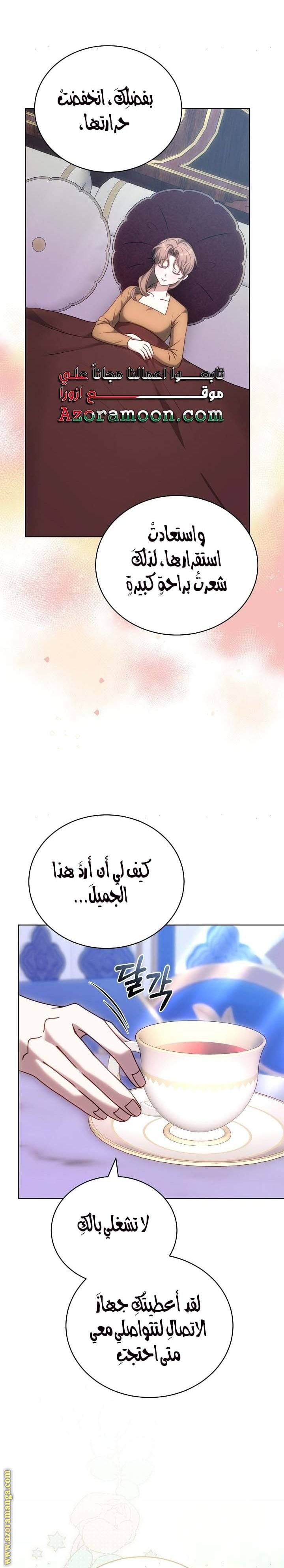 الصفحة 13