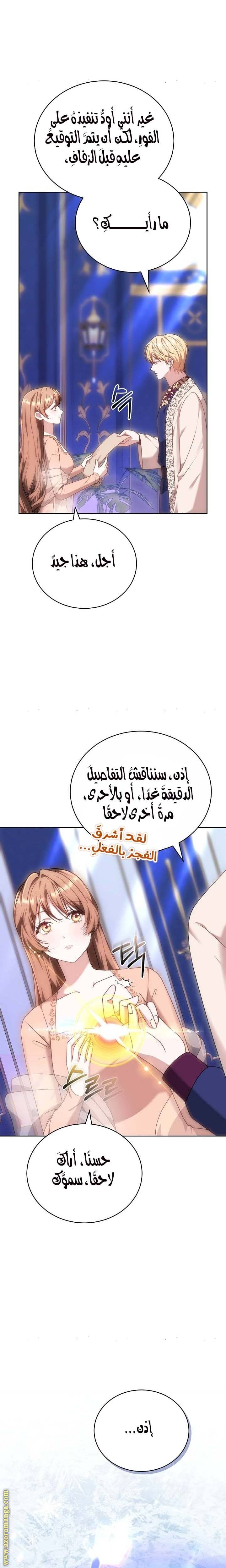 الصفحة 27
