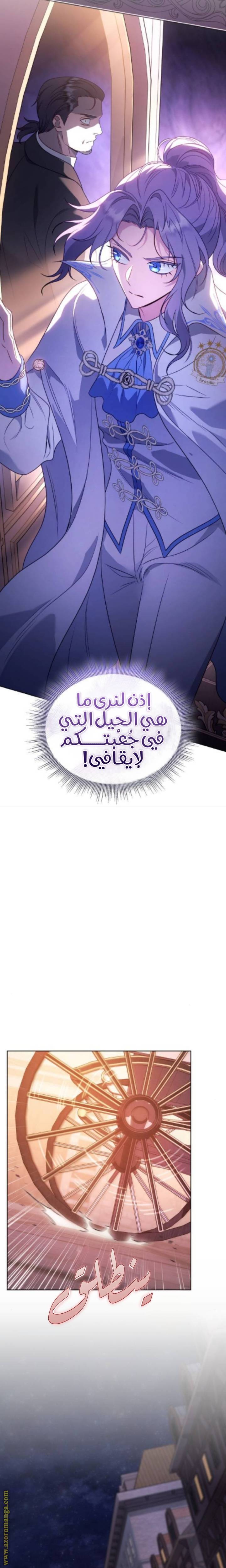 الصفحة 17