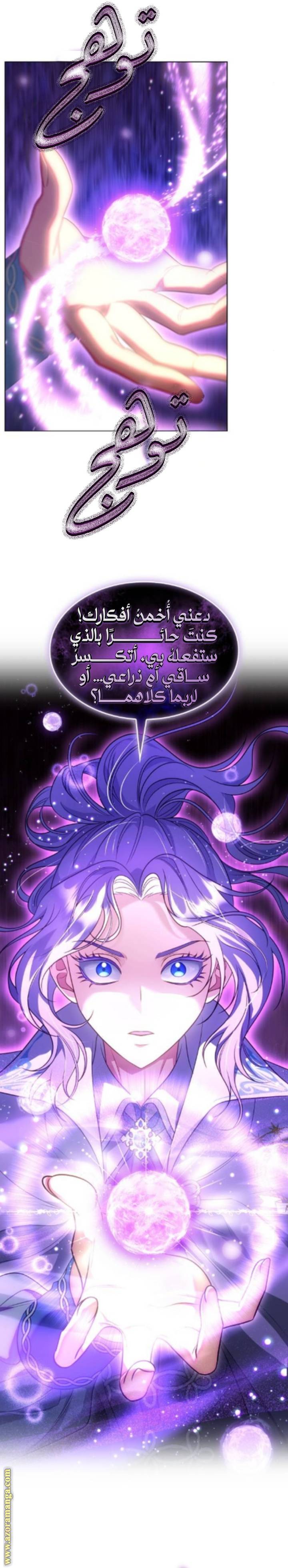 الصفحة 21