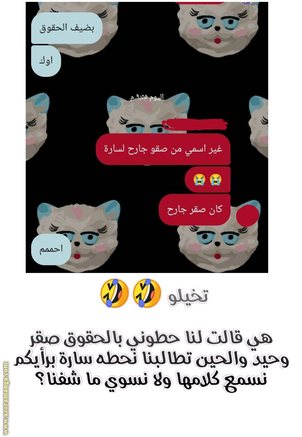 الصفحة 13