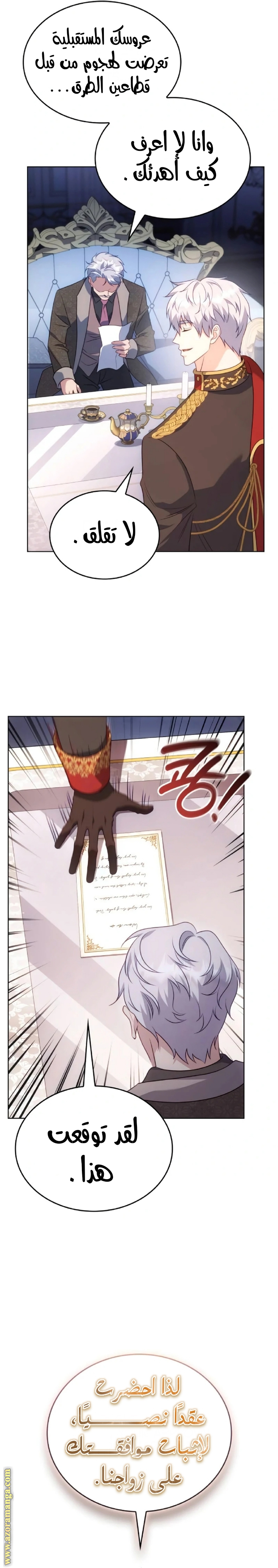 الصفحة 19