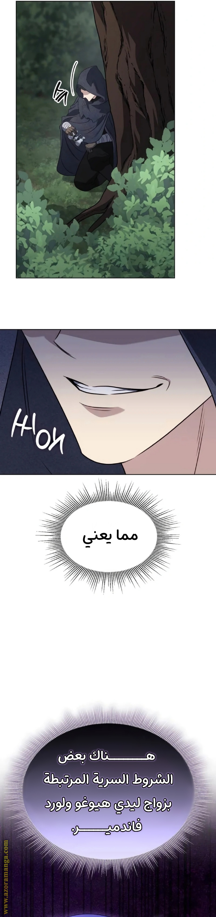 الصفحة 29