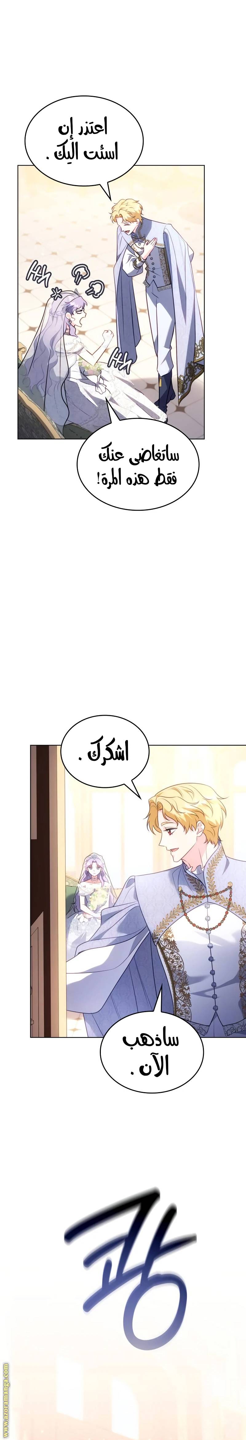 الصفحة 17