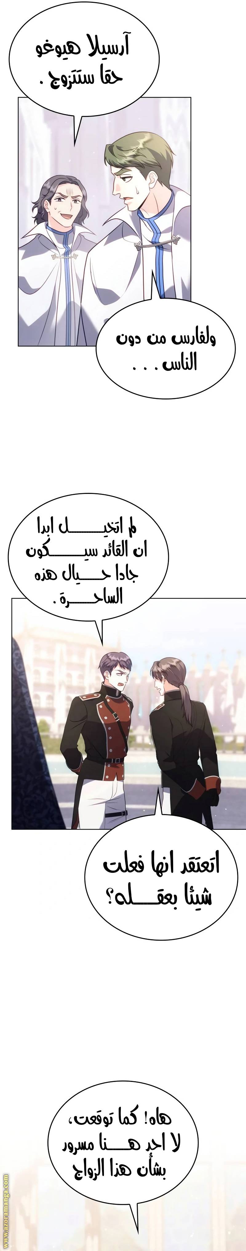 الصفحة 20