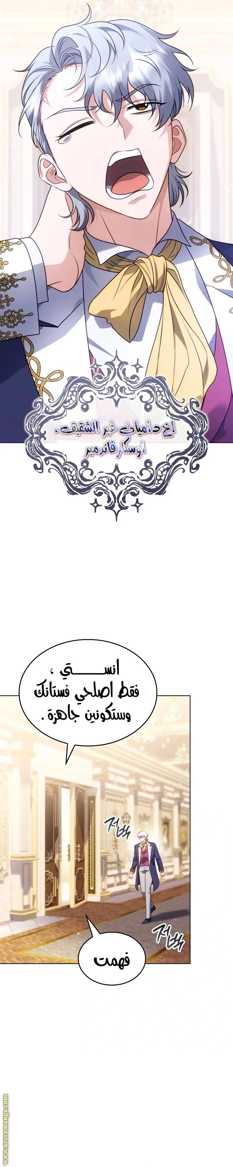 الصفحة 27