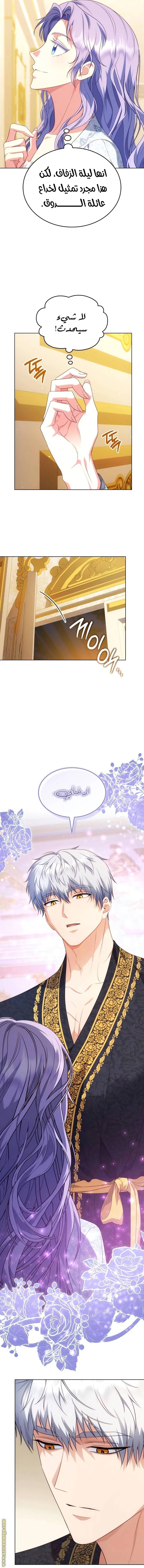 الصفحة 11