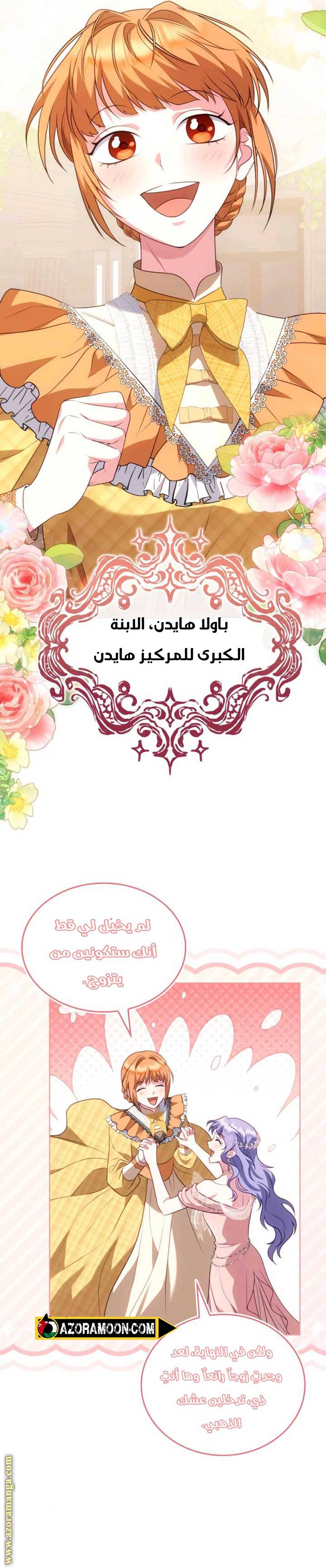 الصفحة 27