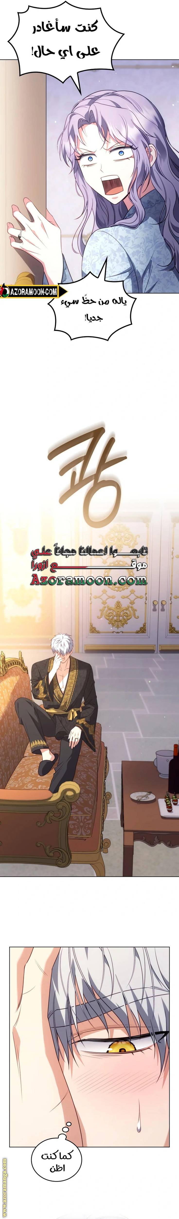 الصفحة 13