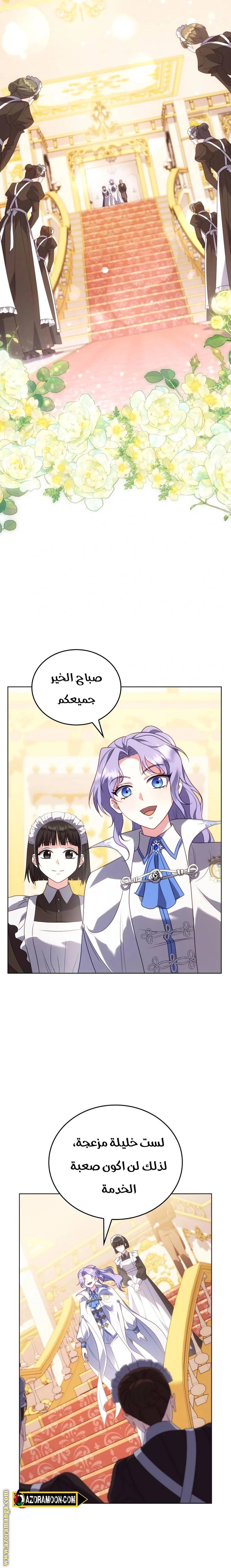 الصفحة 25