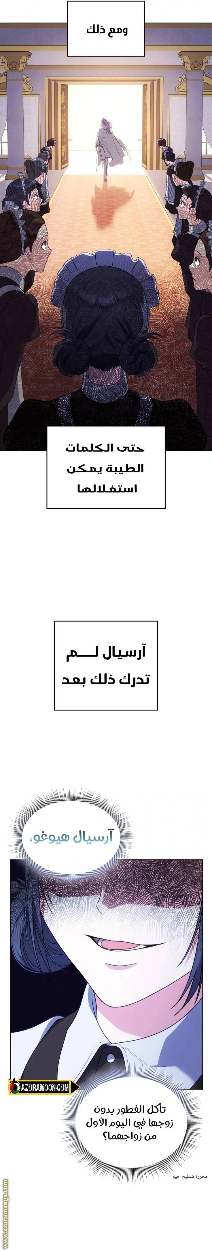 الصفحة 29