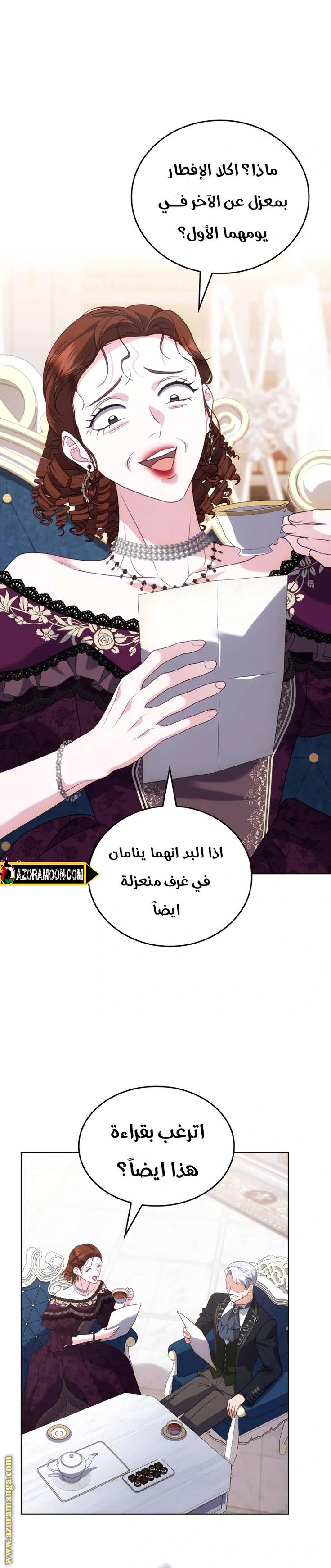 الصفحة 31