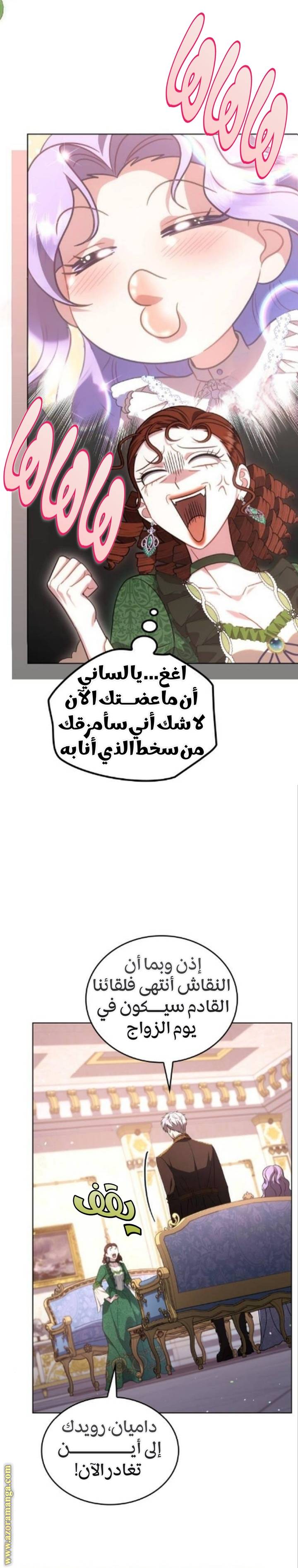 الصفحة 29