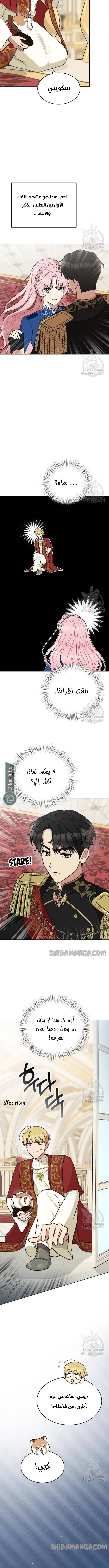 الصفحة 11