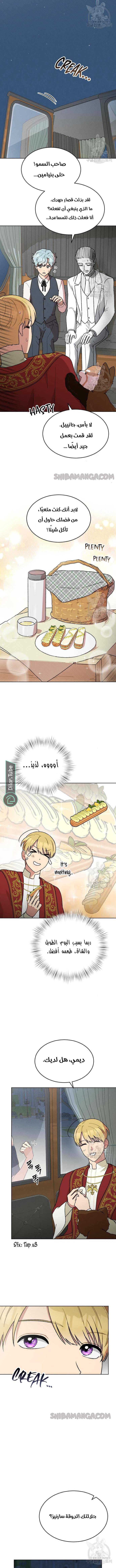 الصفحة 12