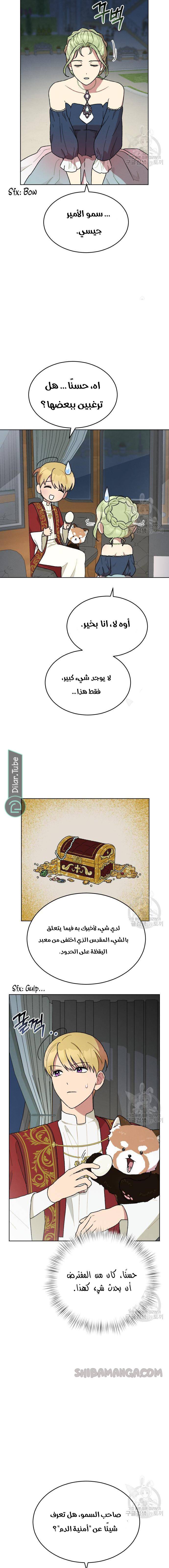 الصفحة 13