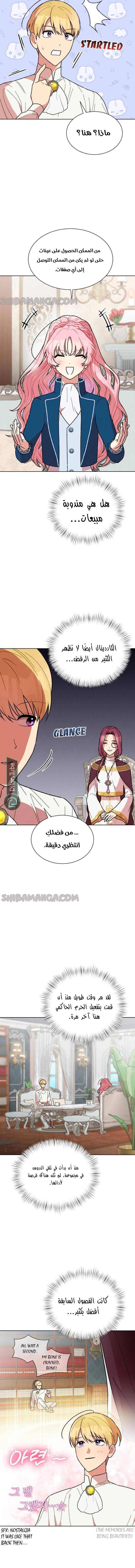 الصفحة 8