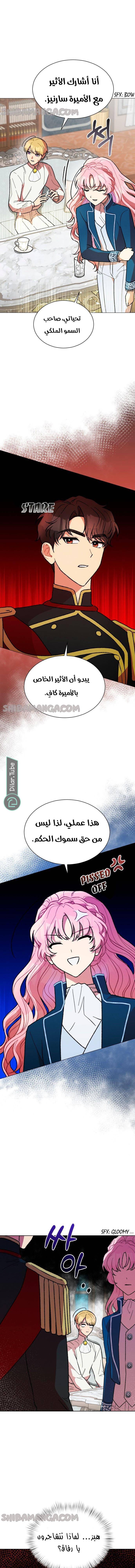 الصفحة 11