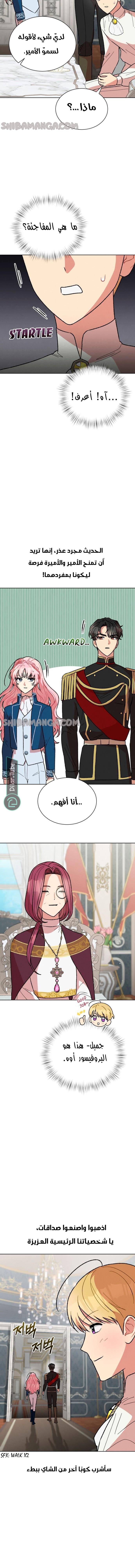 الصفحة 13