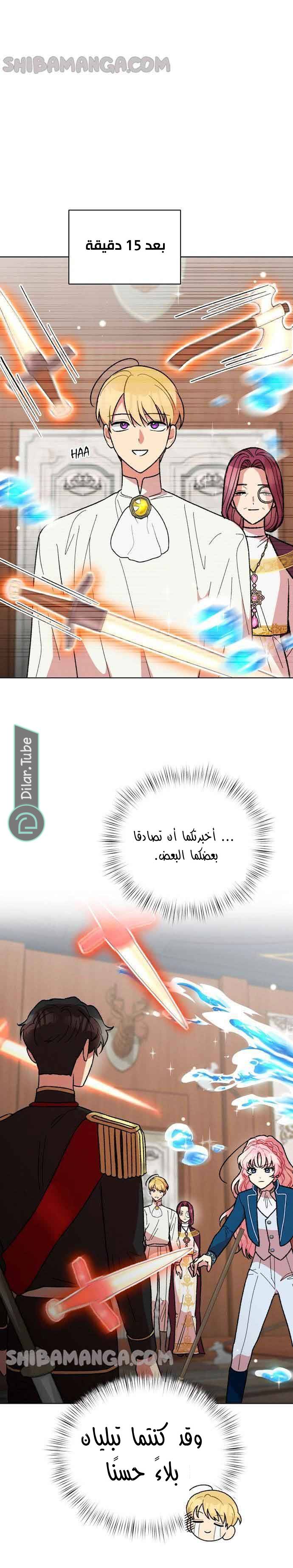 الصفحة 14